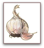 Garlic health benefits, blood pressure