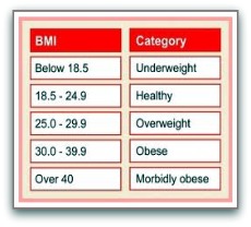 bmi index