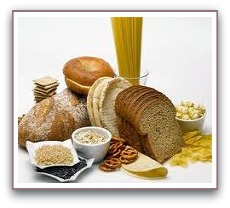 What are carbohydrates?