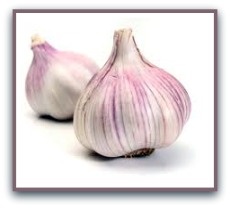 garlic health benefits