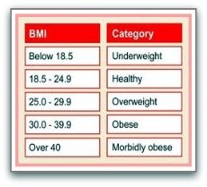 Bmi index calculator