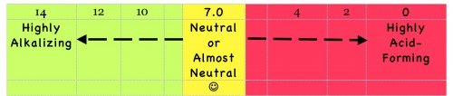 High Alkaline Foods Ph chart