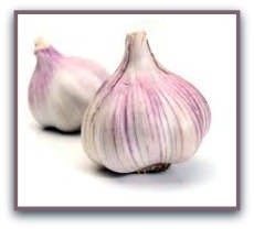 Garlic health benefits