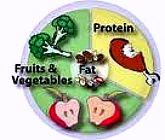 Heart healthy Diet Plan, Food portion Plate